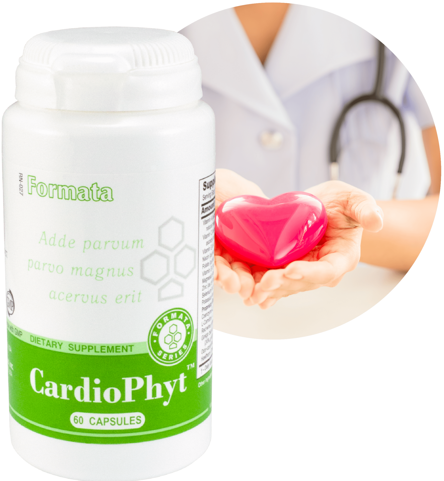 SANTEGRA papildainuotrauka apskritime cardio